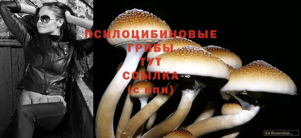 таблы Дмитров