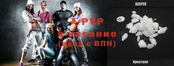 стаф Дмитровск