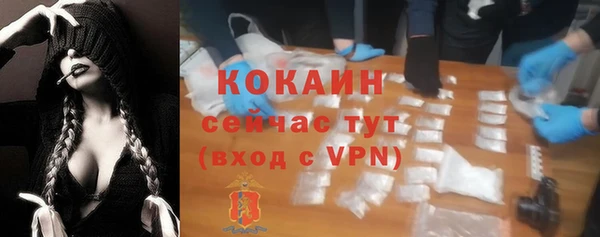 стаф Дмитровск