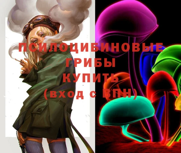таблы Дмитров