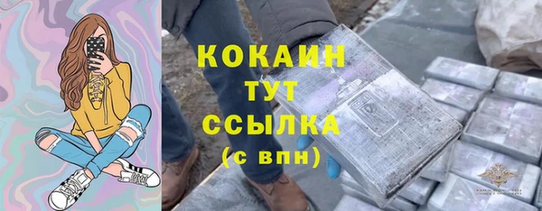 стаф Дмитровск