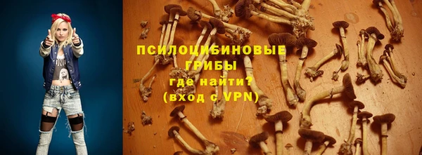 стаф Дмитровск