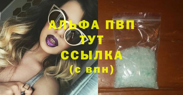 стаф Дмитровск
